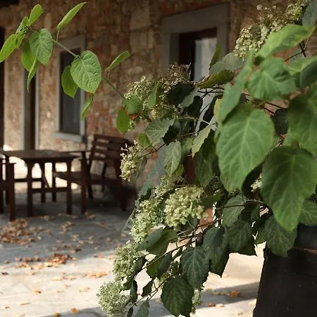 Gradoni